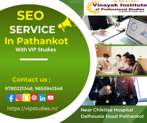 SEO Services in Pathankot: VIP Studies