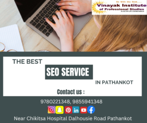 SEO Services in Pathankot: VIP Studies